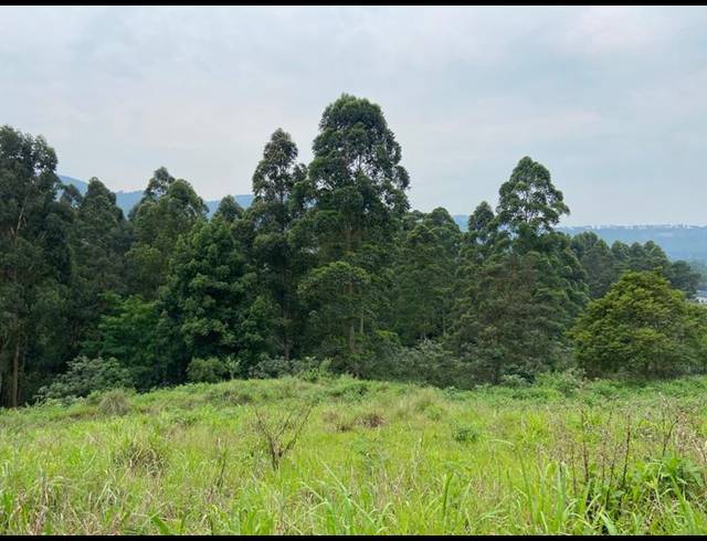 LAND FOR SALE IN MONTROSE